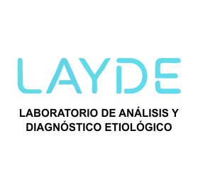servicio de hosting
